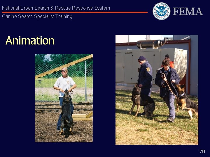 National Urban Search & Rescue Response System Canine Search Specialist Training Animation 70 