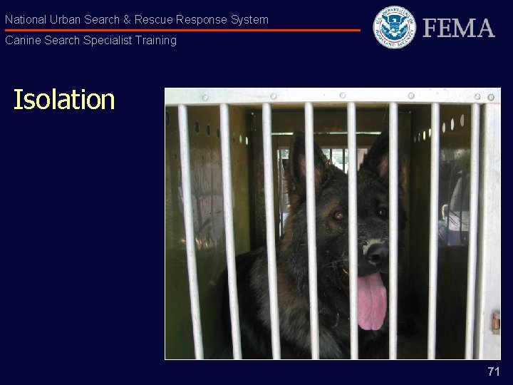 National Urban Search & Rescue Response System Canine Search Specialist Training Isolation 71 