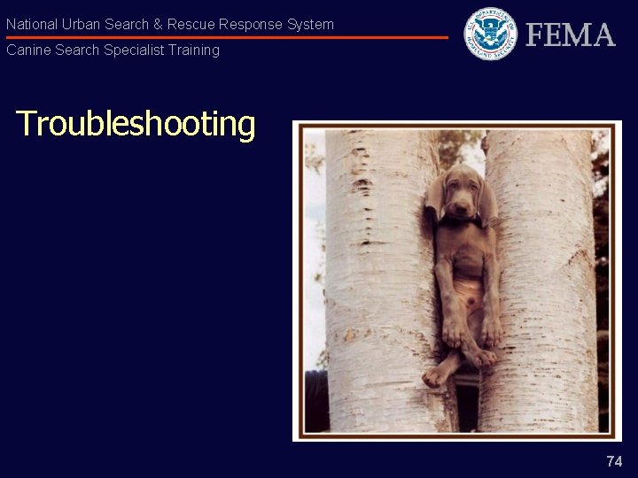 National Urban Search & Rescue Response System Canine Search Specialist Training Troubleshooting 74 