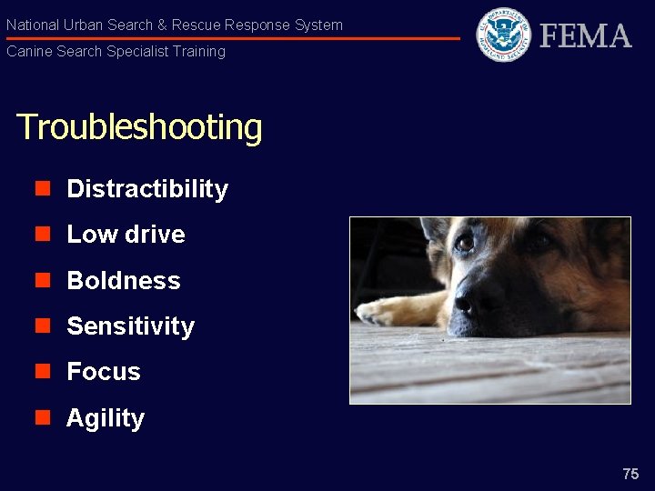 National Urban Search & Rescue Response System Canine Search Specialist Training Troubleshooting n Distractibility