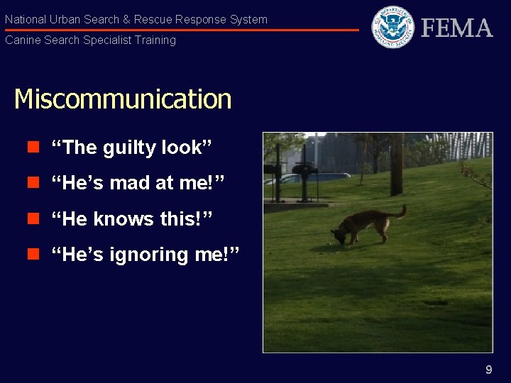 National Urban Search & Rescue Response System Canine Search Specialist Training Miscommunication n “The