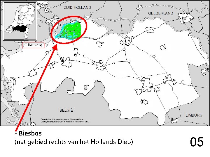 Hollands Diep - Biesbos (nat gebied rechts van het Hollands Diep) 05 