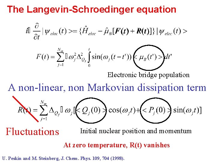The Langevin-Schroedinger equation Electronic bridge population A non-linear, non Markovian dissipation term Fluctuations Initial