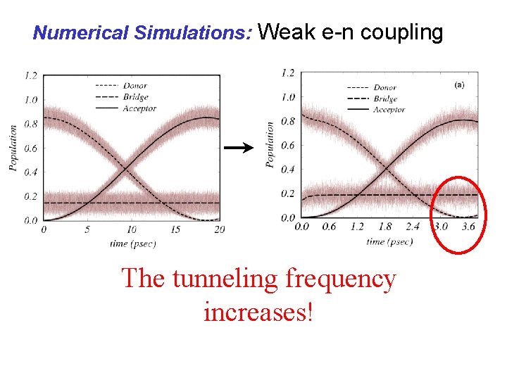Numerical Simulations: Weak e-n coupling The tunneling frequency increases! 