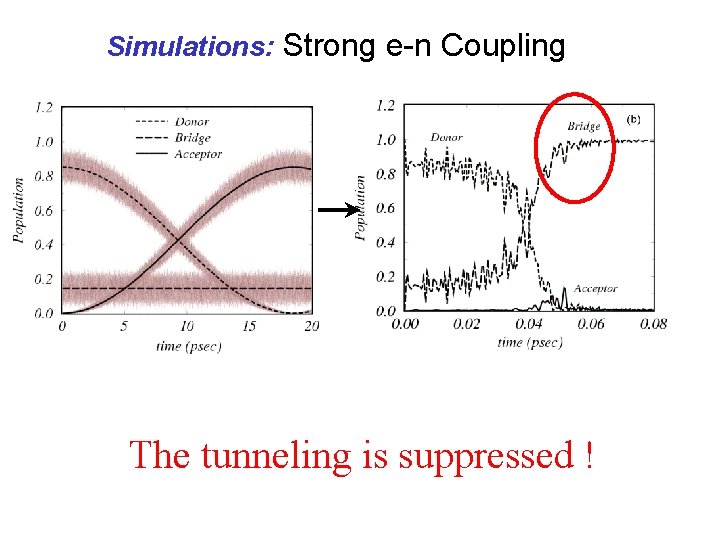 Simulations: Strong e-n Coupling The tunneling is suppressed ! 