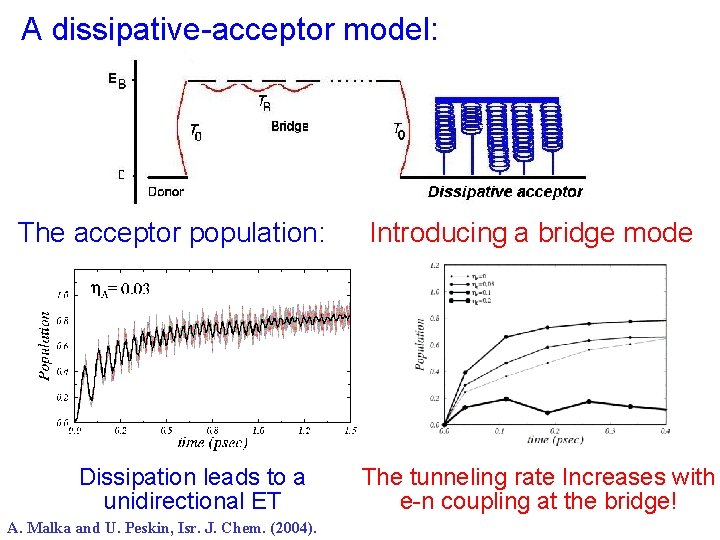 A dissipative-acceptor model: The acceptor population: Dissipation leads to a unidirectional ET A. Malka