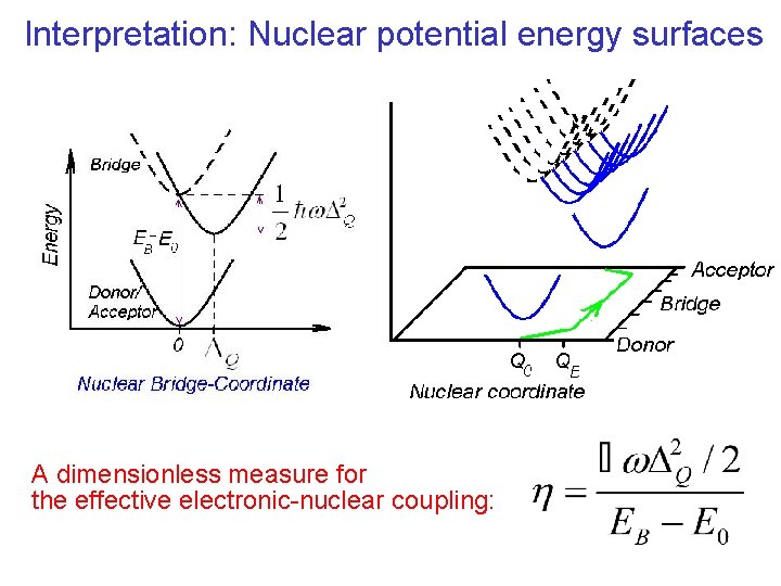 Interpretation: Nuclear potential energy surfaces A dimensionless measure for the effective electronic-nuclear coupling: 