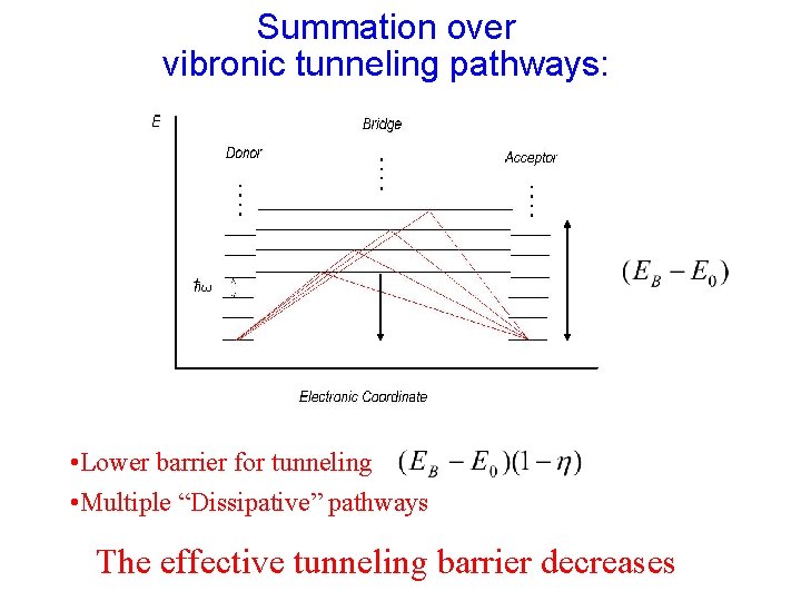Summation over vibronic tunneling pathways: • Lower barrier for tunneling • Multiple “Dissipative” pathways