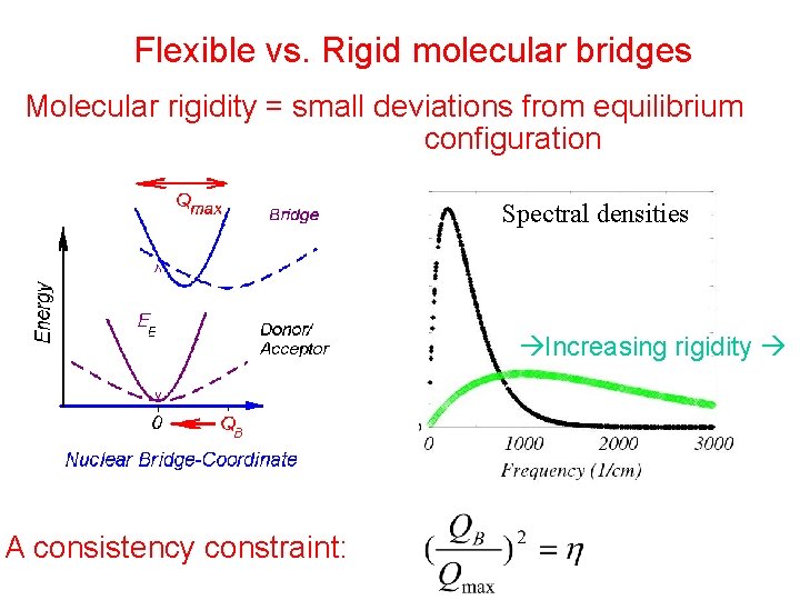 Flexible vs. Rigid molecular bridges Molecular rigidity = small deviations from equilibrium configuration Spectral