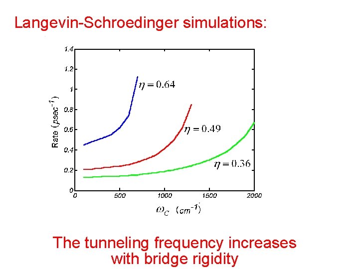 Langevin-Schroedinger simulations: The tunneling frequency increases with bridge rigidity 