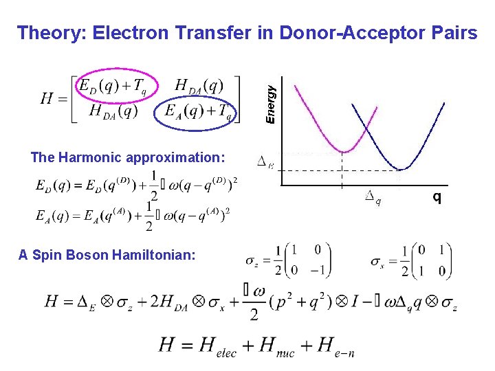 Theory: Electron Transfer in Donor-Acceptor Pairs The Harmonic approximation: A Spin Boson Hamiltonian: 