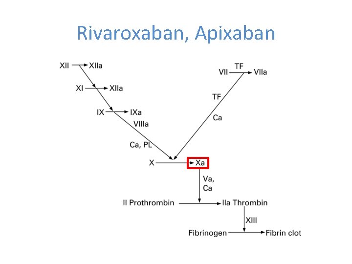 Rivaroxaban, Apixaban 