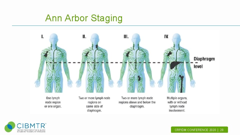 Ann Arbor Staging CRP/DM CONFERENCE 2020 | 28. 