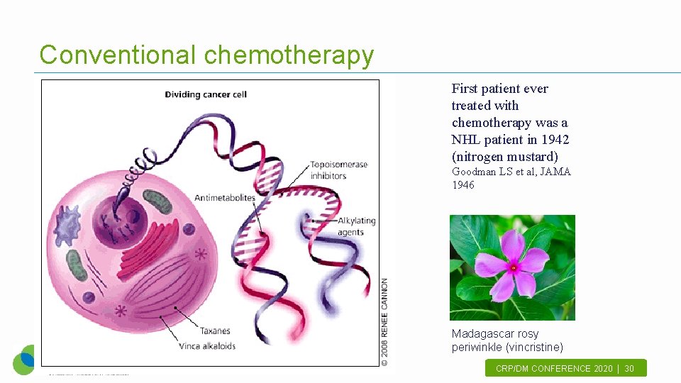 Conventional chemotherapy First patient ever treated with chemotherapy was a NHL patient in 1942