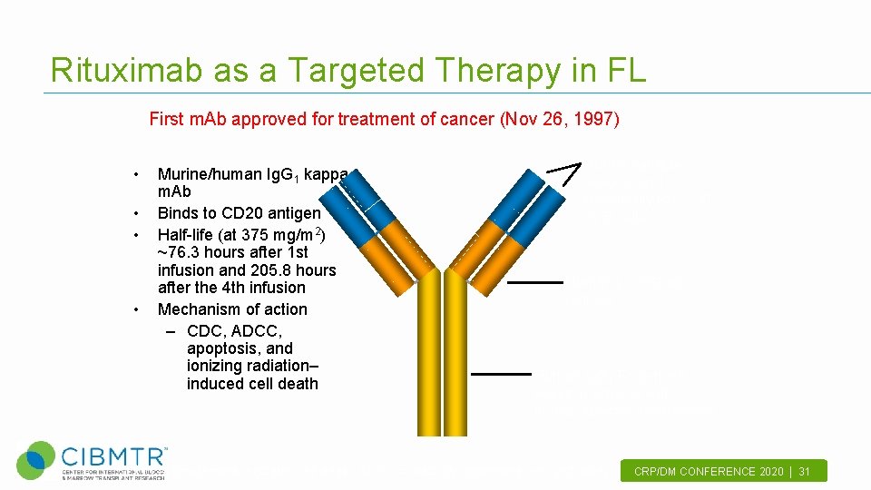 Rituximab as a Targeted Therapy in FL First m. Ab approved for treatment of