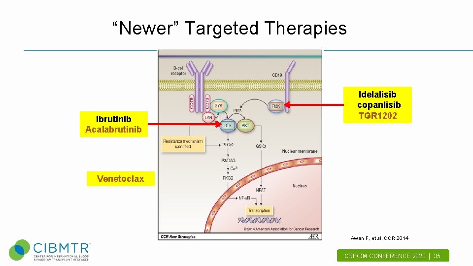 “Newer” Targeted Therapies Ibrutinib Acalabrutinib Idelalisib copanlisib TGR 1202 Venetoclax Awan F, et al,