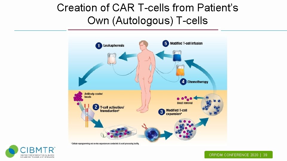 Creation of CAR T-cells from Patient’s Own (Autologous) T-cells CRP/DM CONFERENCE 2020 | 39.