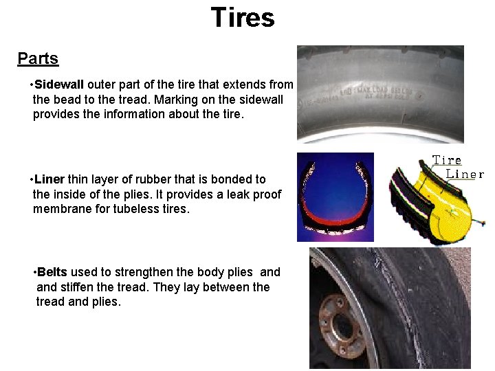 Tires Parts • Sidewall outer part of the tire that extends from the bead