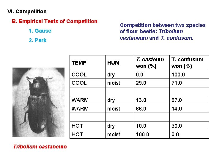 VI. Competition B. Empirical Tests of Competition between two species of flour beetle: Tribolium