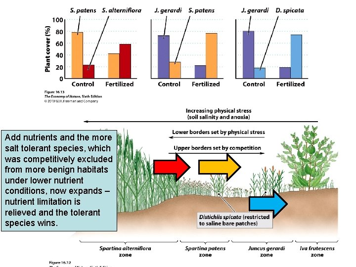 4. Emery et al. (2001) Add nutrients and the more salt tolerant species, which