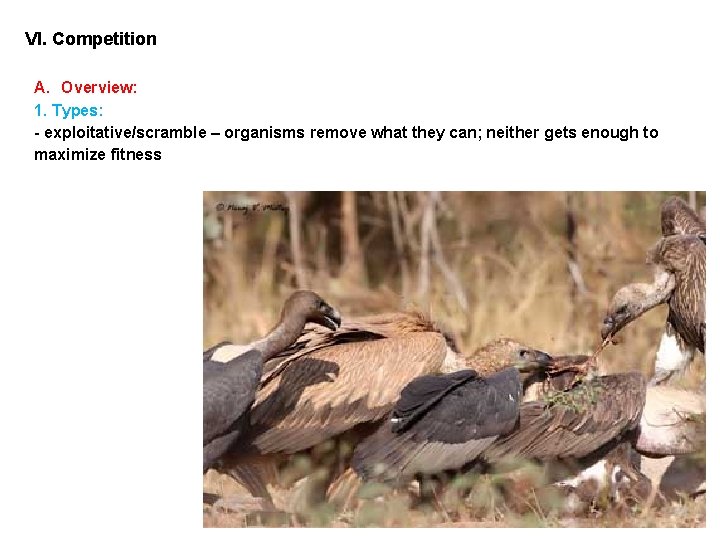 VI. Competition A. Overview: 1. Types: - exploitative/scramble – organisms remove what they can;