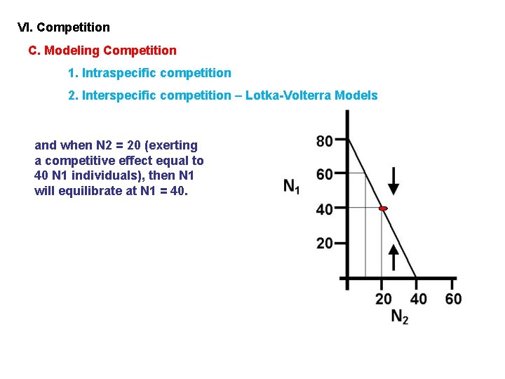 VI. Competition C. Modeling Competition 1. Intraspecific competition 2. Interspecific competition – Lotka-Volterra Models