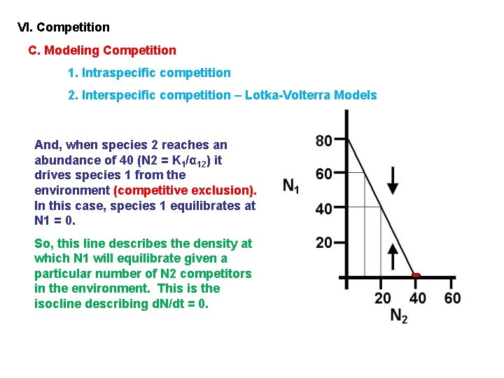 VI. Competition C. Modeling Competition 1. Intraspecific competition 2. Interspecific competition – Lotka-Volterra Models