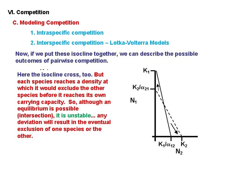 VI. Competition C. Modeling Competition 1. Intraspecific competition 2. Interspecific competition – Lotka-Volterra Models