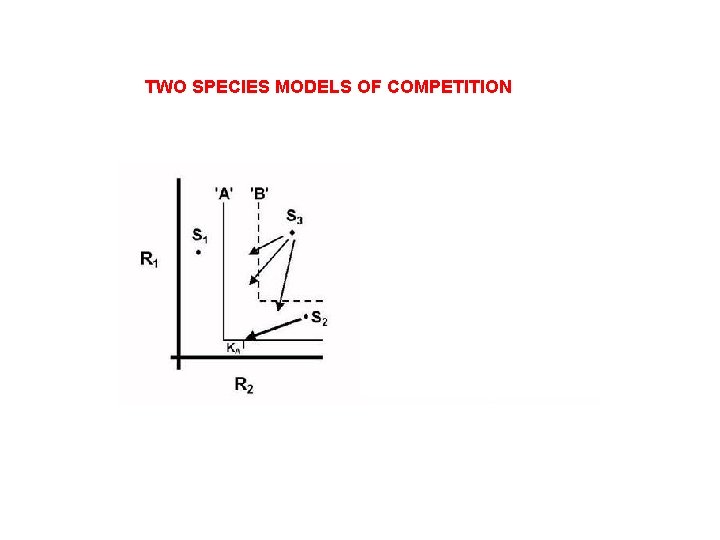 TWO SPECIES MODELS OF COMPETITION 