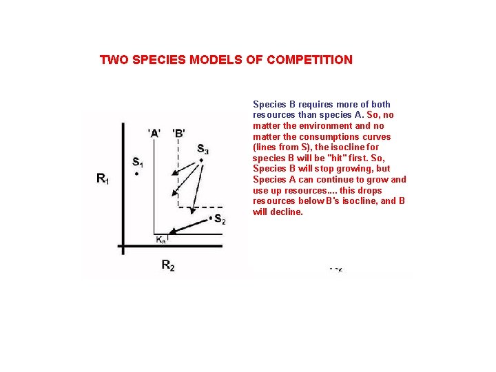 TWO SPECIES MODELS OF COMPETITION Species B requires more of both resources than species