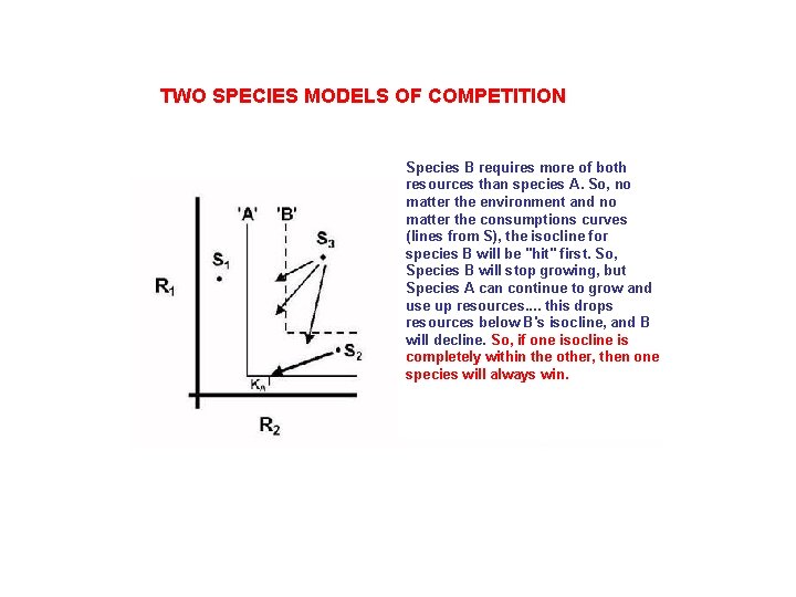 TWO SPECIES MODELS OF COMPETITION Species B requires more of both resources than species