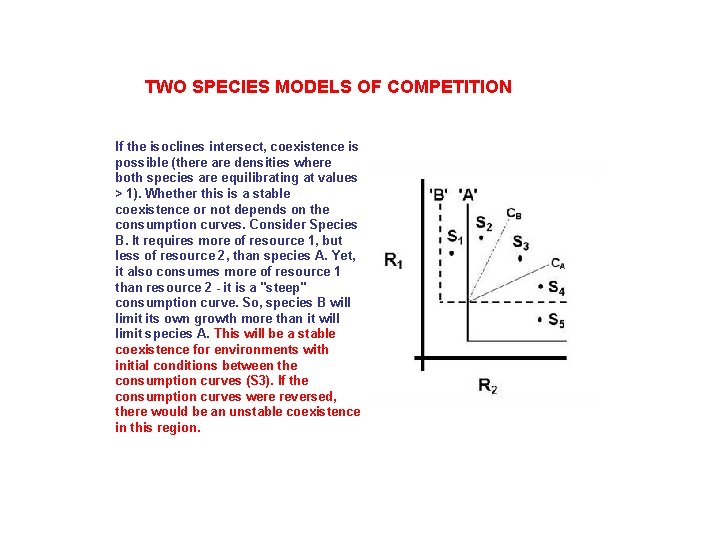 TWO SPECIES MODELS OF COMPETITION If the isoclines intersect, coexistence is possible (there are