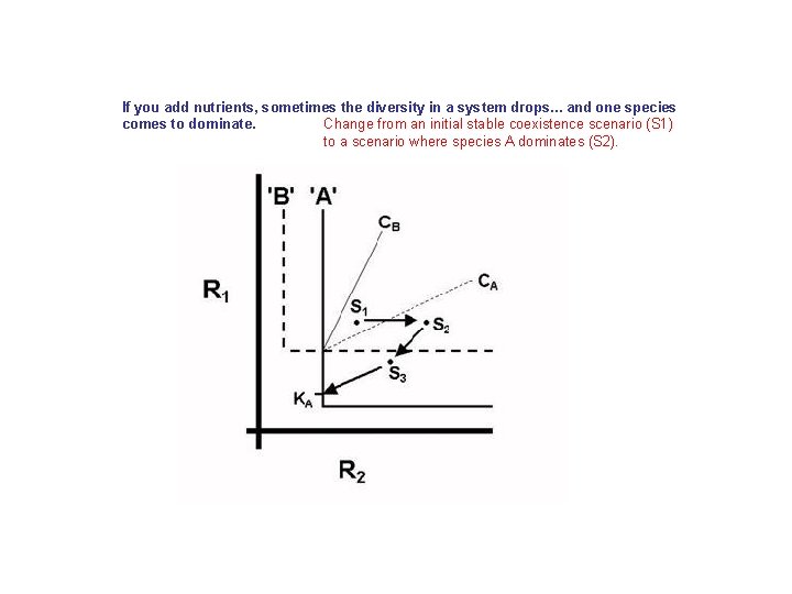 If you add nutrients, sometimes the diversity in a system drops. . . and