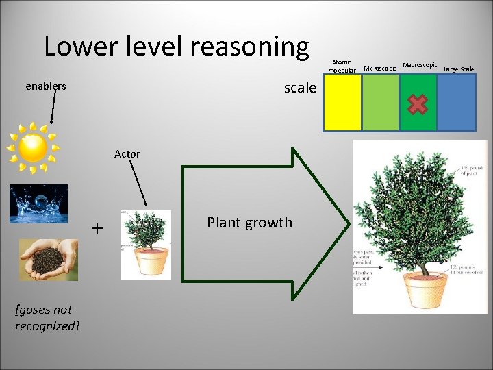 Lower level reasoning scale enablers Actor + [gases not recognized] Plant growth Atomic molecular