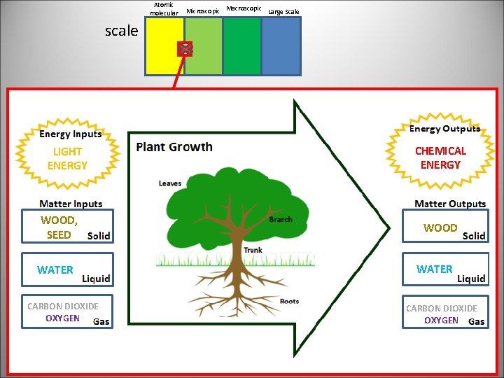 Atomic molecular Microscopic Macroscopic Large Scale scale LIGHT ENERGY WOOD, SEED WATER CARBON DIOXIDE