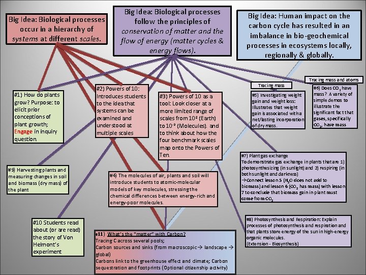 Big Idea: Biological processes occur in a hierarchy of systems at different scales. #1)
