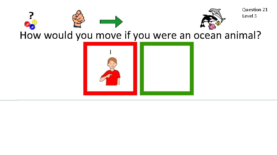 Question 21 Level 3 How would you move if you were an ocean animal?