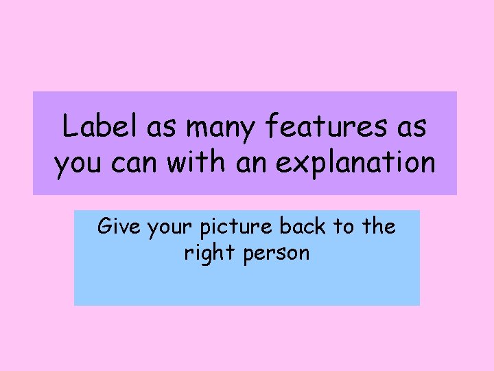 Label as many features as you can with an explanation Give your picture back