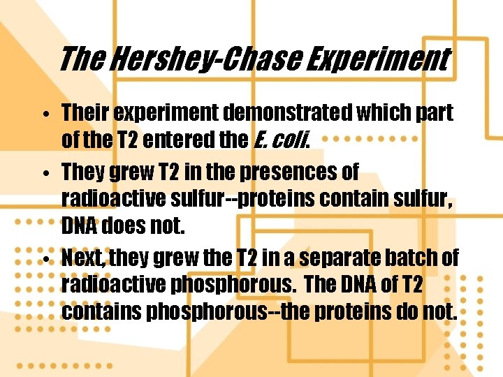 The Hershey-Chase Experiment • Their experiment demonstrated which part of the T 2 entered