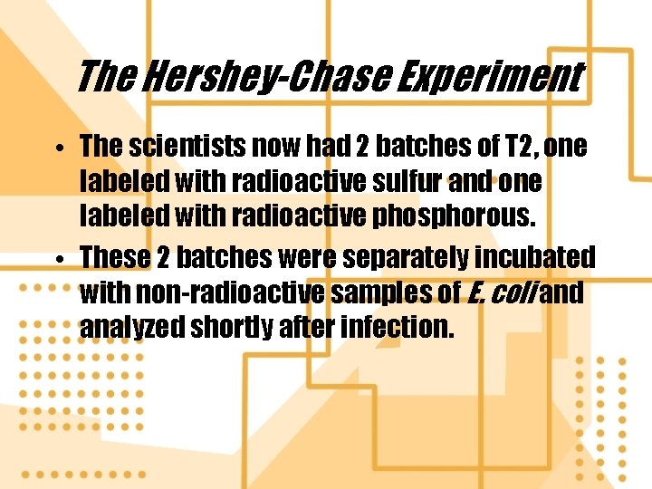 The Hershey-Chase Experiment • The scientists now had 2 batches of T 2, one