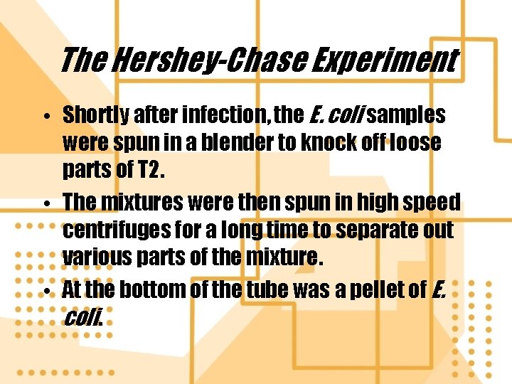 The Hershey-Chase Experiment • Shortly after infection, the E. coli samples were spun in