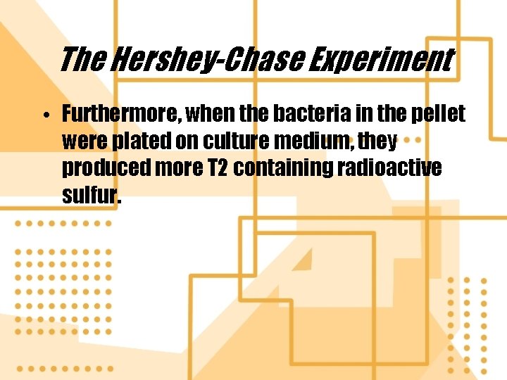 The Hershey-Chase Experiment • Furthermore, when the bacteria in the pellet were plated on