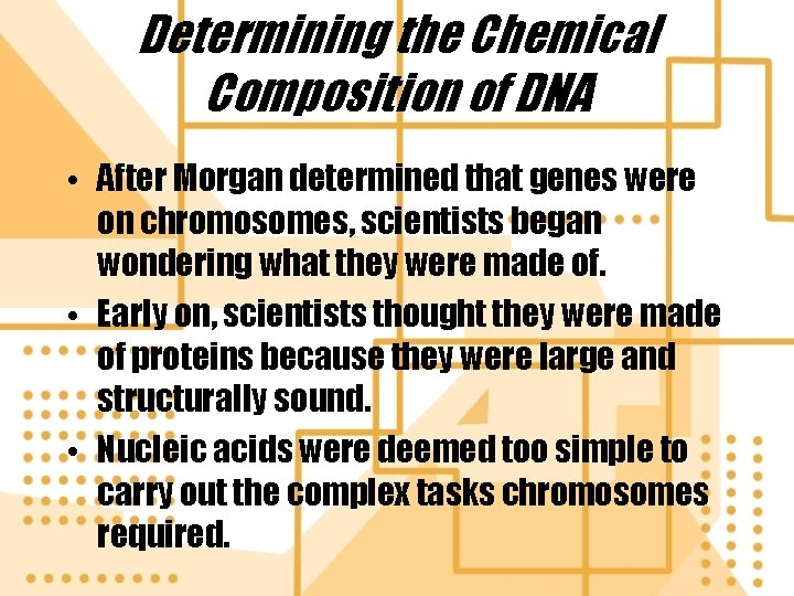 Determining the Chemical Composition of DNA • After Morgan determined that genes were on