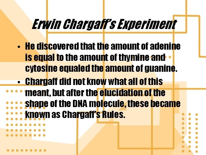 Erwin Chargaff’s Experiment • He discovered that the amount of adenine is equal to