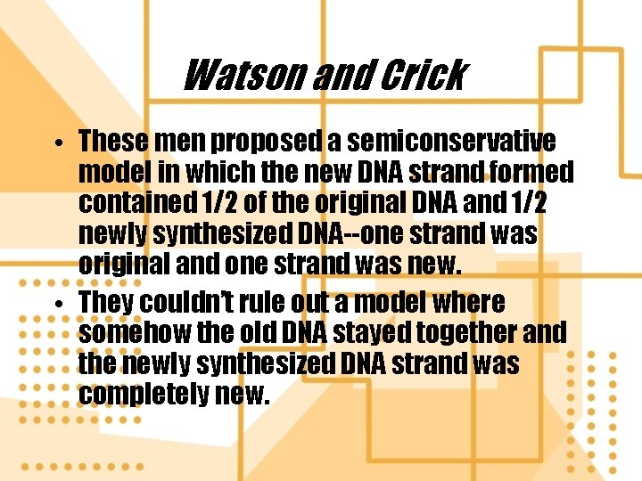 Watson and Crick • These men proposed a semiconservative model in which the new