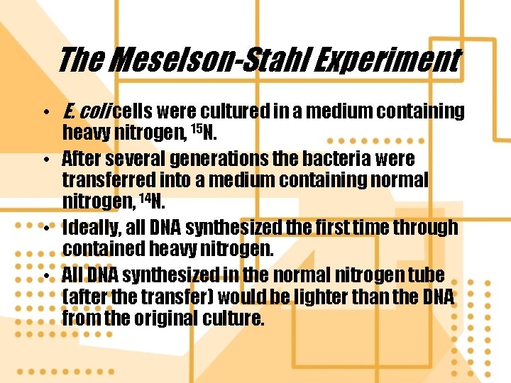 The Meselson-Stahl Experiment • E. coli cells were cultured in a medium containing heavy