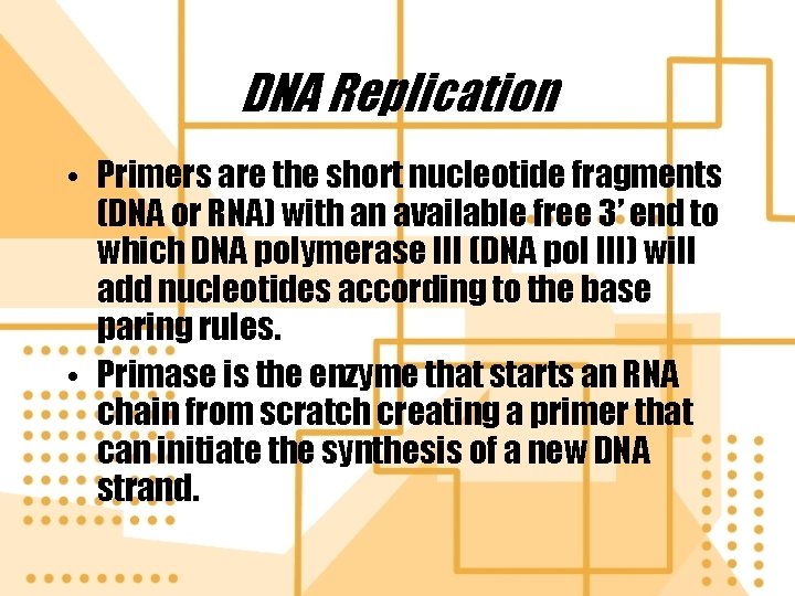 DNA Replication • Primers are the short nucleotide fragments (DNA or RNA) with an