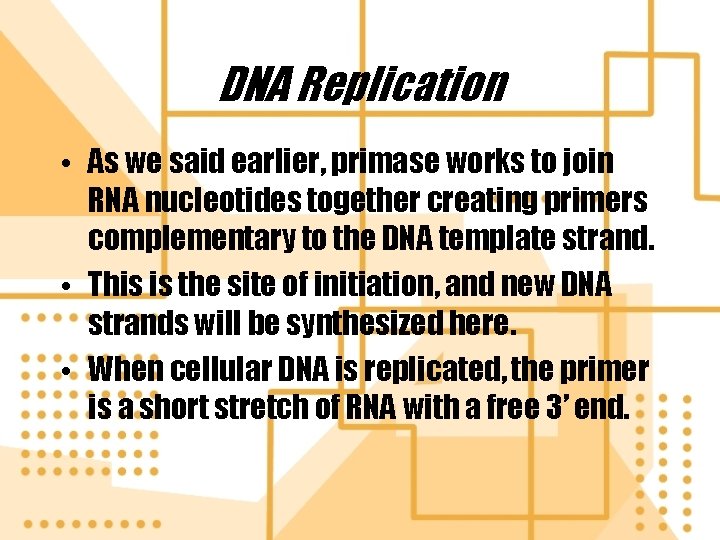 DNA Replication • As we said earlier, primase works to join RNA nucleotides together