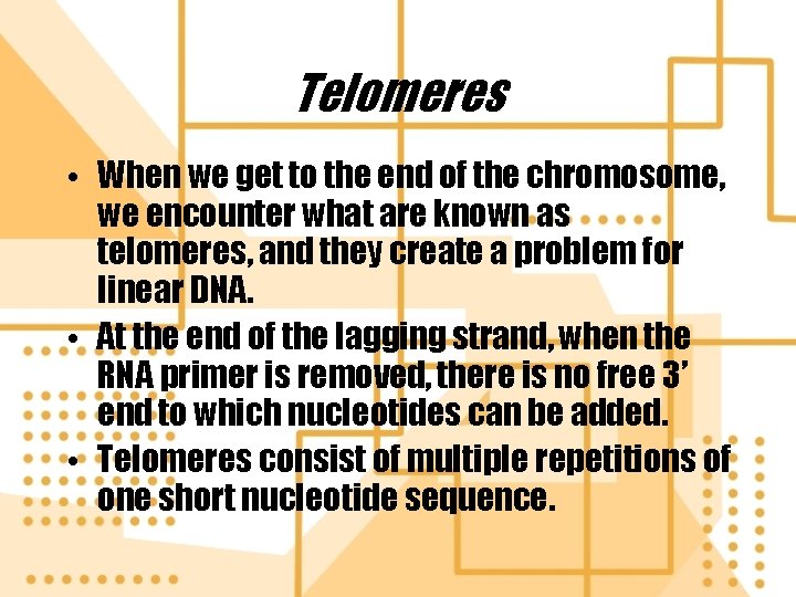 Telomeres • When we get to the end of the chromosome, we encounter what