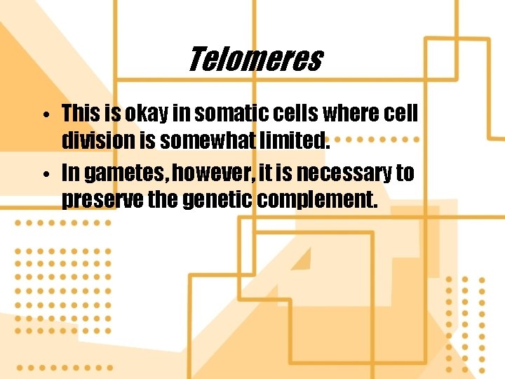 Telomeres • This is okay in somatic cells where cell division is somewhat limited.